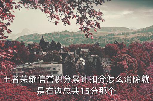 王者荣耀信誉积分累计扣分怎么消除就是右边总共15分那个