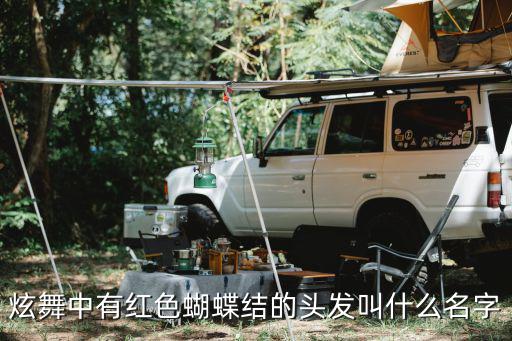 炫舞中有红色蝴蝶结的头发叫什么名字