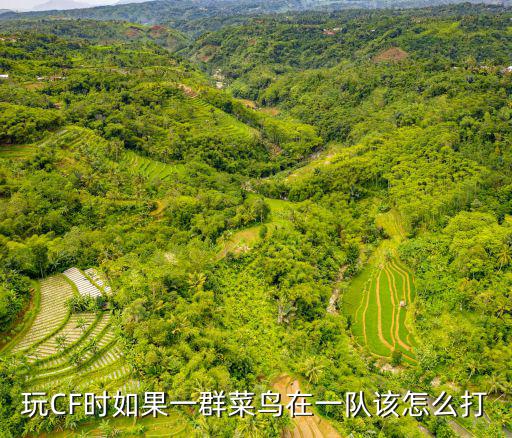 cf手游菜鸟一号怎么打，谁来教叫我这个菜鸟穿越火线基本技巧