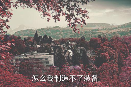怎么我制造不了装备