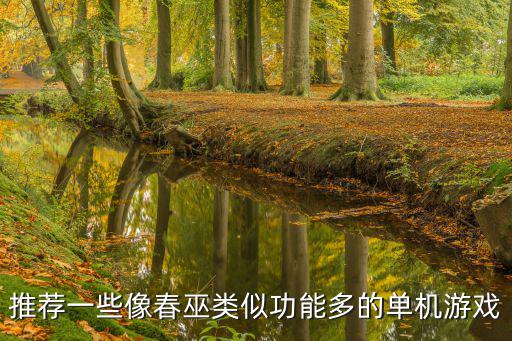 推荐一些像春巫类似功能多的单机游戏