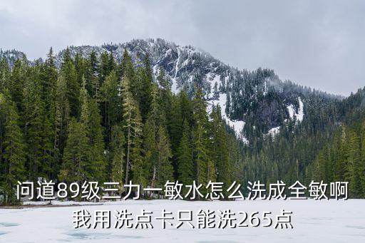 问道89级三力一敏水怎么洗成全敏啊我用洗点卡只能洗265点