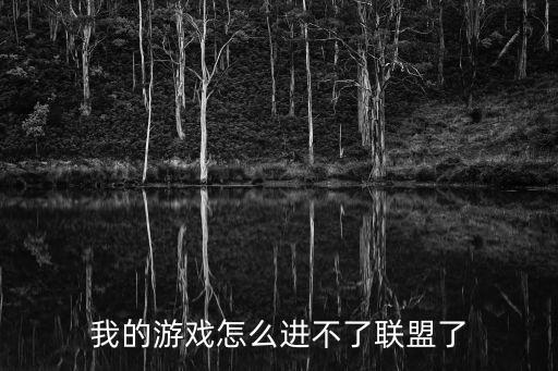 我的游戏怎么进不了联盟了