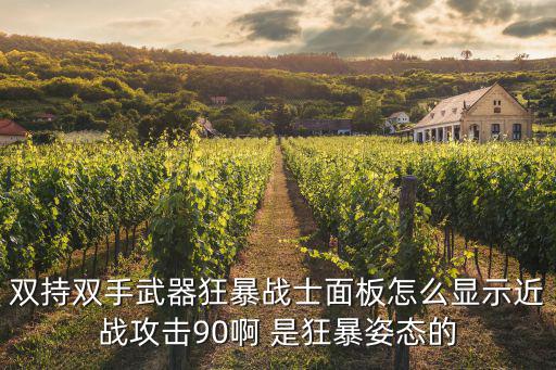 双持双手武器狂暴战士面板怎么显示近战攻击90啊 是狂暴姿态的