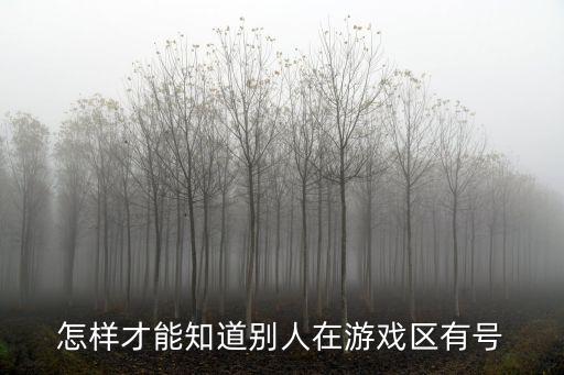 怎样才能知道别人在游戏区有号