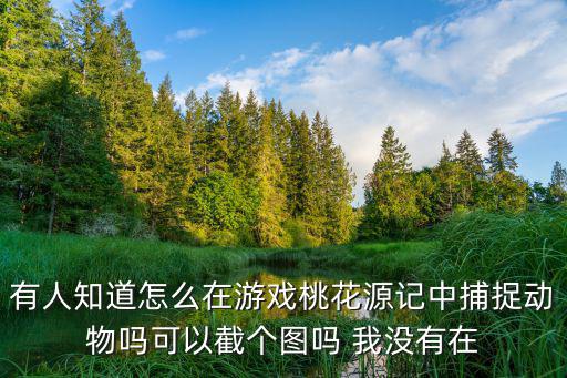 有人知道怎么在游戏桃花源记中捕捉动物吗可以截个图吗 我没有在