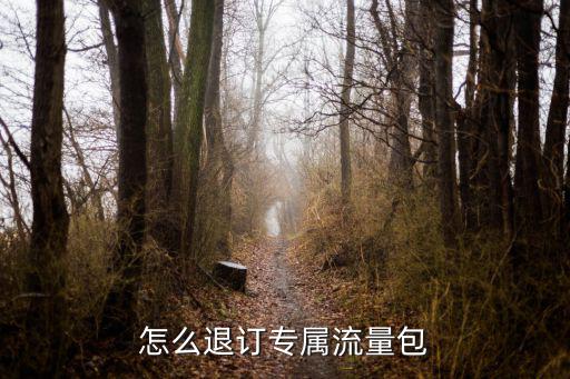怎么退订专属流量包