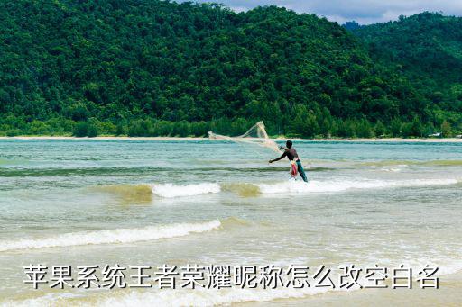 苹果系统王者荣耀昵称怎么改空白名