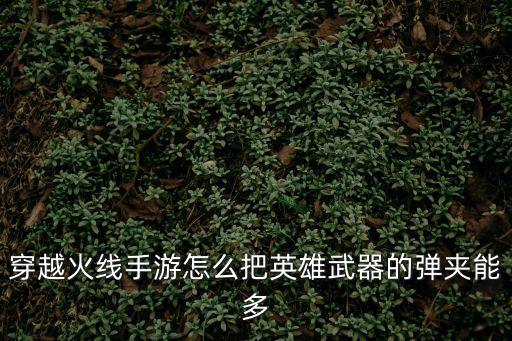 穿越火线手游怎么把英雄武器的弹夹能多