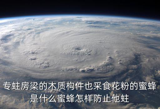 专蛀房梁的木质构件也采食花粉的蜜蜂是什么蜜蜂怎样防止他蛀
