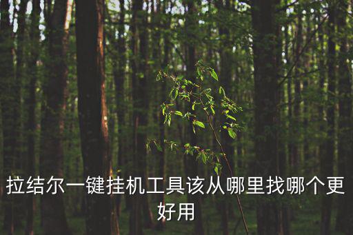 拉结尔一键挂机工具该从哪里找哪个更好用