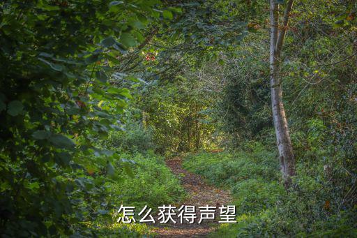 怎么获得声望