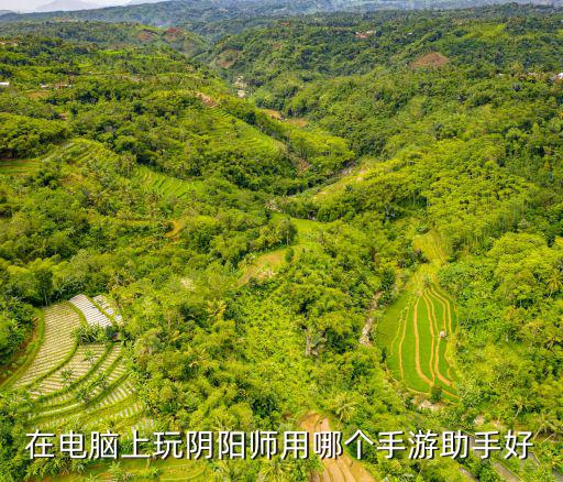 在电脑上玩阴阳师用哪个手游助手好