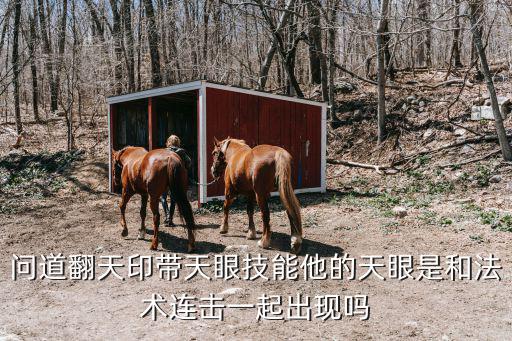 问道手游翻天印怎么打，问道番天印高手进来