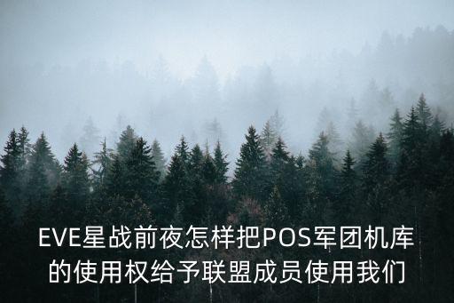 EVE星战前夜怎样把POS军团机库的使用权给予联盟成员使用我们