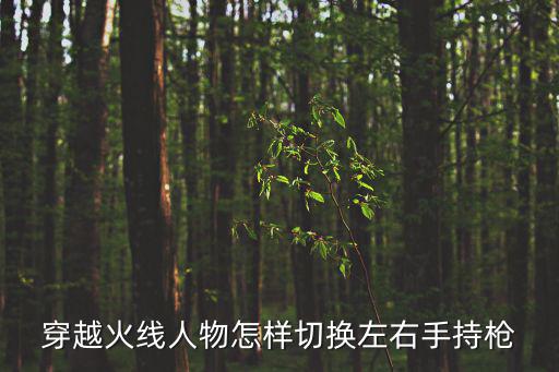 穿越火线人物怎样切换左右手持枪
