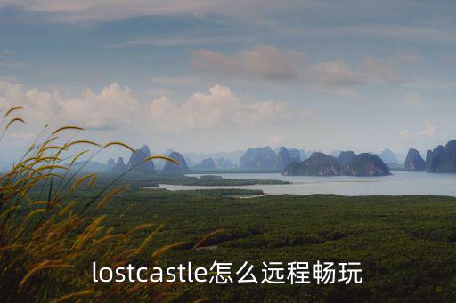 lostcastle怎么远程畅玩