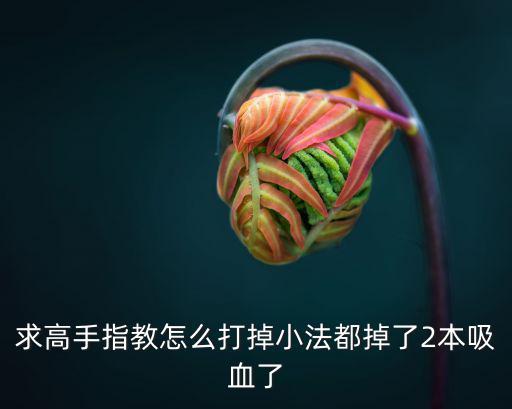 求高手指教怎么打掉小法都掉了2本吸血了