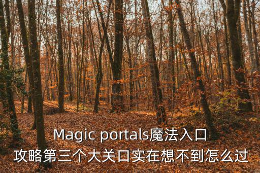 Magic portals魔法入口 攻略第三个大关口实在想不到怎么过