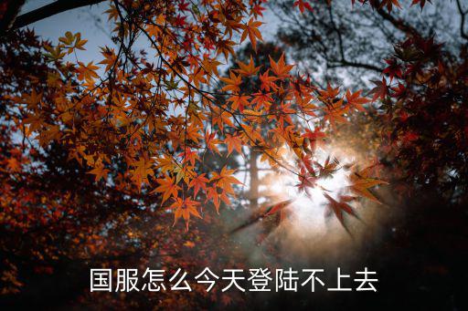 国服怎么今天登陆不上去