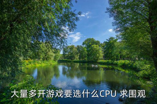 大量多开游戏要选什么CPU 求围观