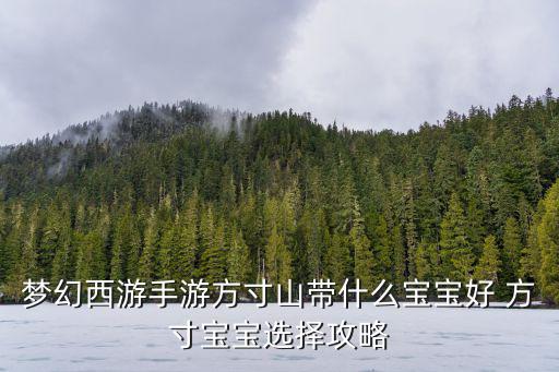 梦幻手游精锐宠物怎么选，梦幻69精锐宠选择哪一只好