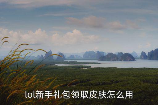 lol新手礼包领取皮肤怎么用