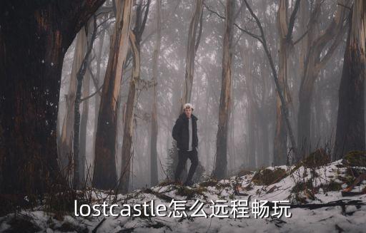 失落城堡手游怎么玩乱斗模式，lostcastle怎么远程畅玩