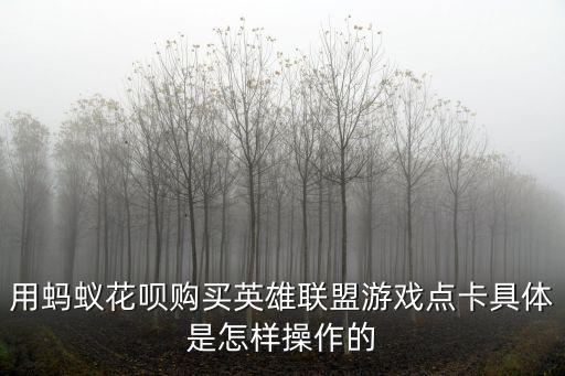用蚂蚁花呗购买英雄联盟游戏点卡具体是怎样操作的