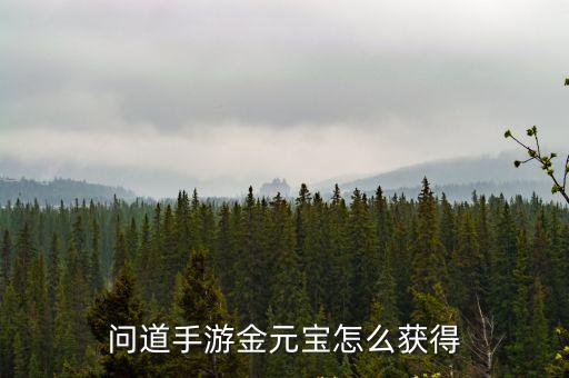 问道手游金元宝怎么获得