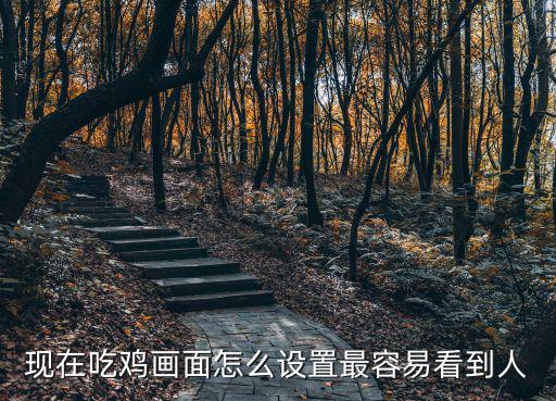 现在吃鸡画面怎么设置最容易看到人