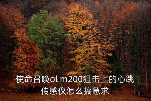 使命召唤ol m200狙击上的心跳传感仪怎么搞急求