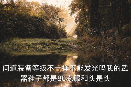 问道装备等级不一样不能发光吗我的武器鞋子都是80衣服和头是头