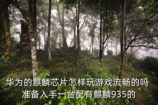 华为的麒麟芯片怎样玩游戏流畅的吗 准备入手一台配有麒麟935的