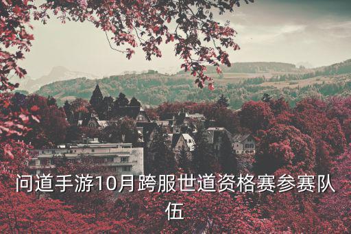 问道手游10月跨服世道资格赛参赛队伍