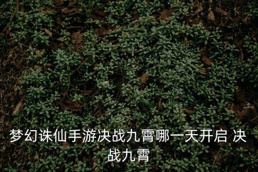 梦幻诛仙手游决战九霄哪一天开启 决战九霄