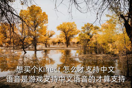 想买个Kinect 怎么才支持中文语音是游戏支持中文语音的才算支持