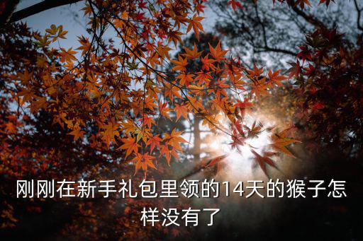 cf手游没弄到孙悟空的怎么办，我cf手游雷神礼包还有齐天大圣地狱火雷神没充我只有5千钻我我准备