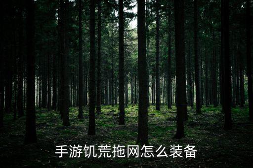 手游饥荒拖网怎么装备