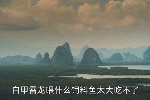 白甲雷龙喂什么饲料鱼太大吃不了