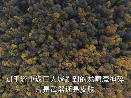 cf手游重返巨人城刷到的龙啸魔神碎片是武器还是皮肤