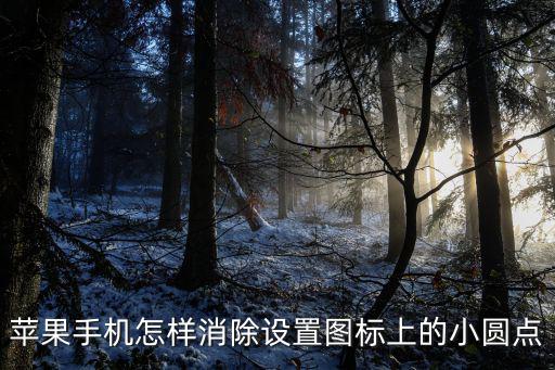 苹果手机怎样消除设置图标上的小圆点