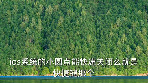ios系统的小圆点能快速关闭么就是快捷键那个