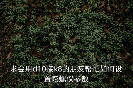 求会用d10接k8的朋友帮忙如何设置陀螺仪参数