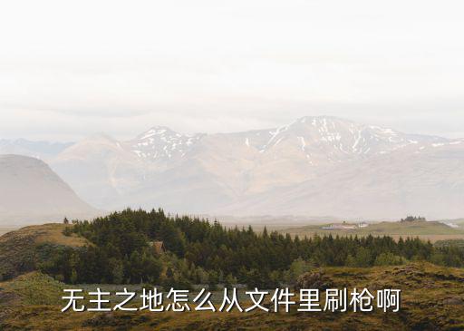 无主之地手游怎么复制枪，无主之地2存档修改器怎么复制武器代码