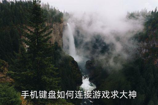 手机怎么连接键鼠玩英雄联盟手游，手机如何连接键盘玩游戏
