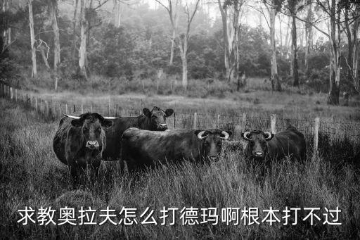 求教奥拉夫怎么打德玛啊根本打不过