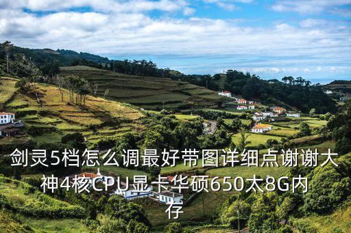 剑灵5档怎么调最好带图详细点谢谢大神4核CPU显卡华硕650太8G内存