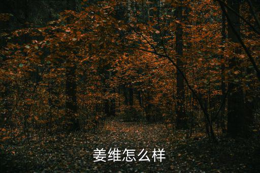 三国战纪手游姜维皮肤怎么样，三国争霸 姜维怎么样