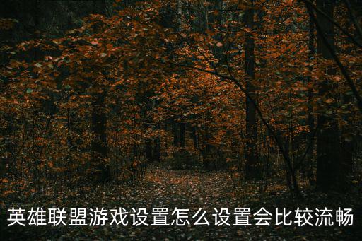 英雄联盟手游其他设置怎么调最好，英雄联盟怎么调设置效果最好